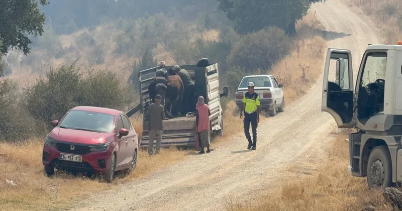 Türkiyənin daha bir bölgəsində yanğın başlayıb