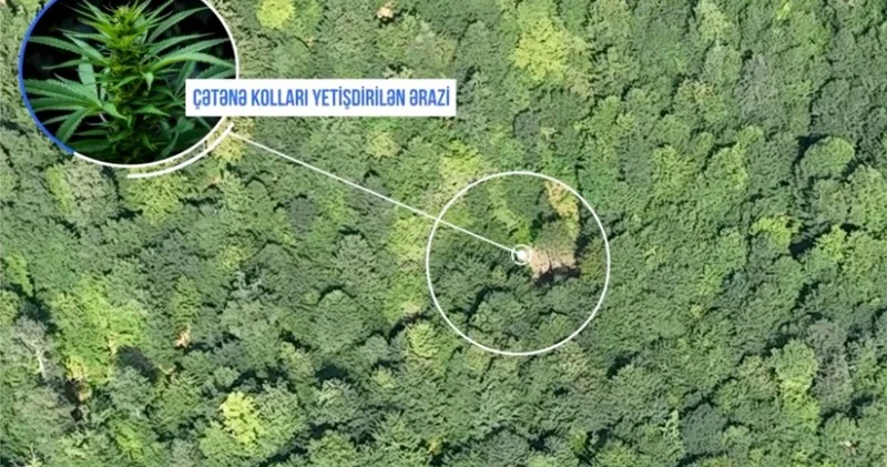 Balakəndə polis dağlarda əməliyyat keçirib, silahlı şəxslər həbs olunub