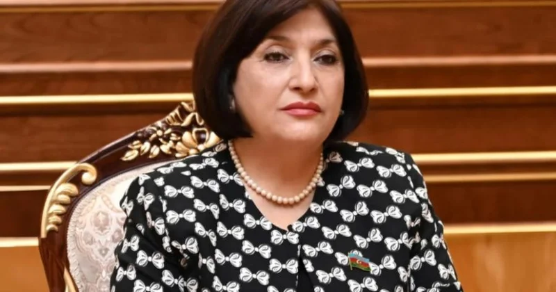 Azərbaycan Qoşulmama Hərəkatının prinsiplərini praktiki fəaliyyətə çevirir