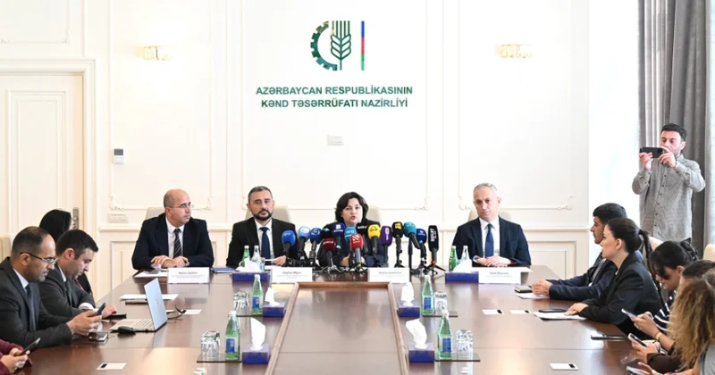 Ceyhun Əliyev: Azərbaycanda bir sıra balıq növləri üzrə özünütəminetmə səviyyəsi yüksəkdir