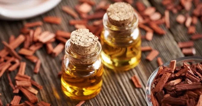 Evdəki bəzi qoxular stressi azaltmağa kömək edə bilər