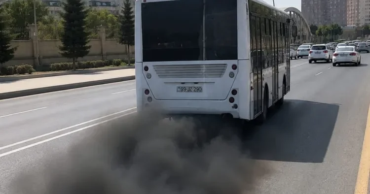 Avtobuslardan yayılan qara tüstü təhlükəsi Ekoloqdan XƏBƏRDARLIQ