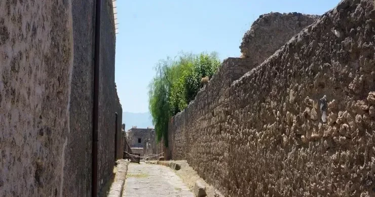 İki min illik sevgi mesajı tapıldı “Erato sevir”