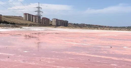 Дожди или канализационные воды?