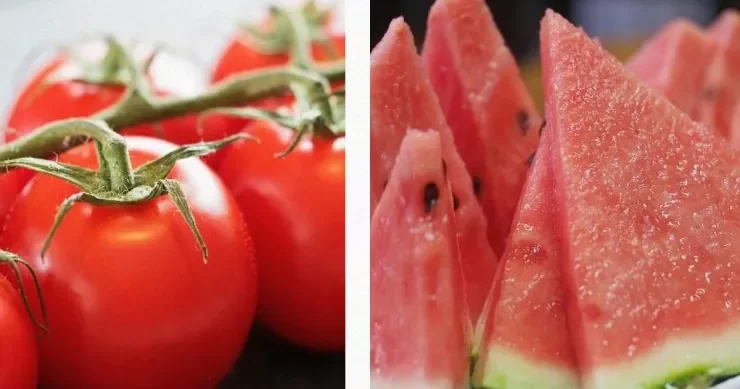 Pomidor, yoxsa qarpız? ürək üçün o faydalı imiş