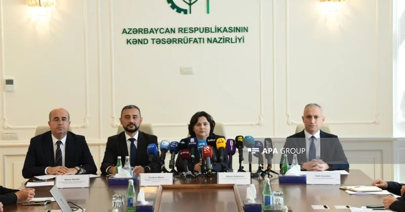 Nazir müavini: Balıqçılıq təsərrüfatlarının qeydiyyatı sadələşdiriləcək