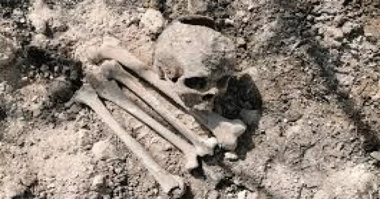 Azərbaycanda 910 insan qalığı ekshumasiya olunub RƏSMİ
