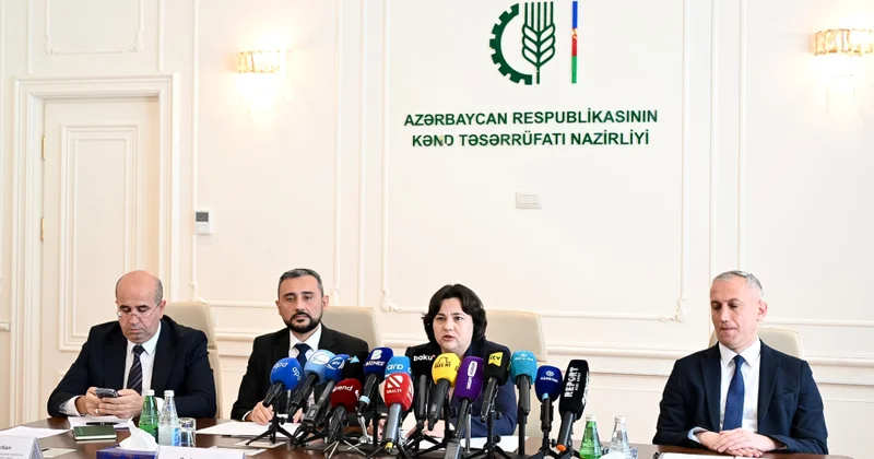 Nazir müavini: Balıqçılıq və toxumçuluq sahələrində rəqəmsallaşmanın tətbiqi əsas yeniliklərdəndir