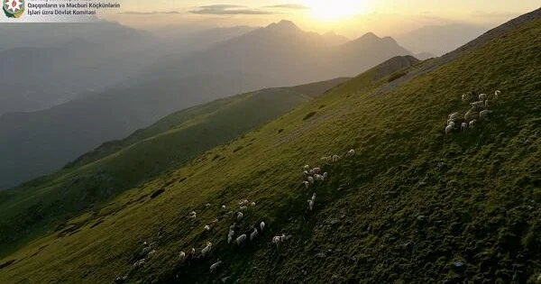 Murovdağda itkin düşmüş şəxslərin axtarışı davam etdirilir