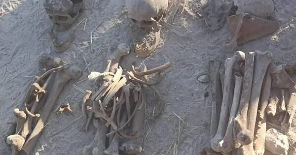 910 şəxsə aid insan qalıqları ekshumasiya olundu