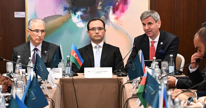 FAO: Kənd təsərrüfatının inkişafına dövlət dəstəyi qaçılmazdır