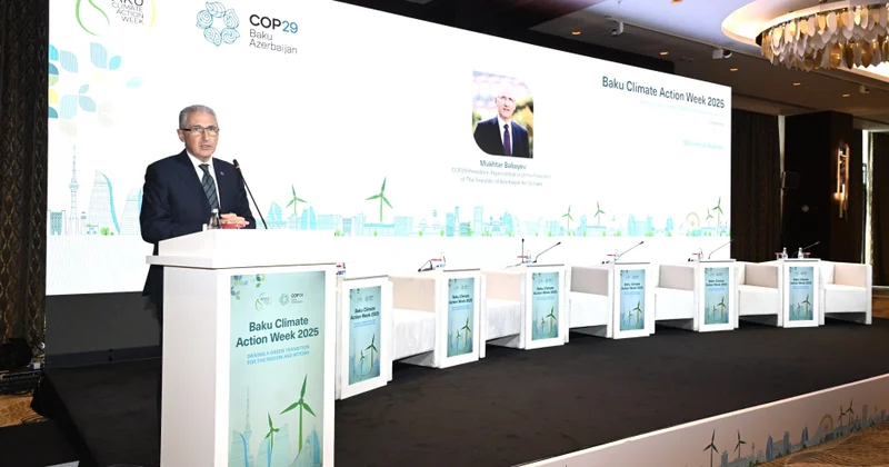 COP29 un Prezidenti: Qadınların bacarıqları və səsi qərarlara daxil ediləndə siyasət daha effektiv olur