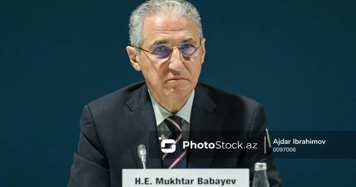 Мухтар Бабаев: К 2040 году Азербайджан достигнет климатической устойчивости