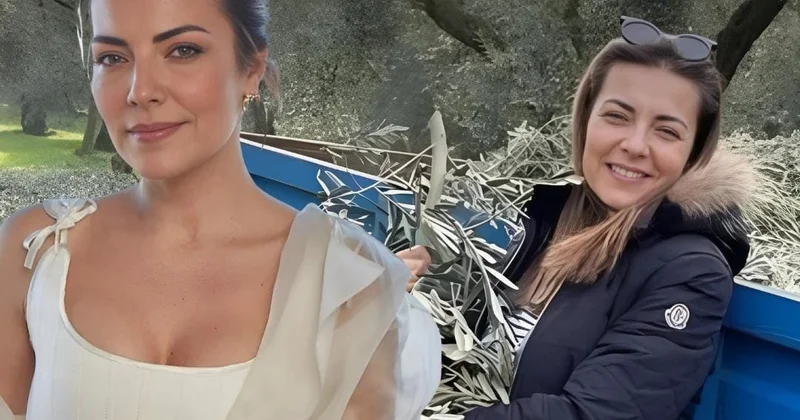Məşhur aktrisa zeytun yağı istehsal edəcək