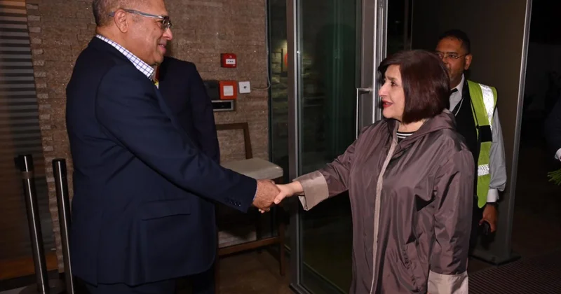 Milli Məclisin sədri CAR a işgüzar səfər edib