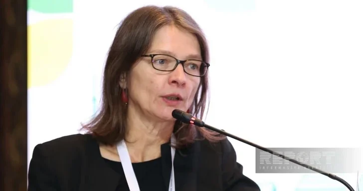 Штефани Штальмайстер: Водный вопрос Азербайджана требует регионального решения