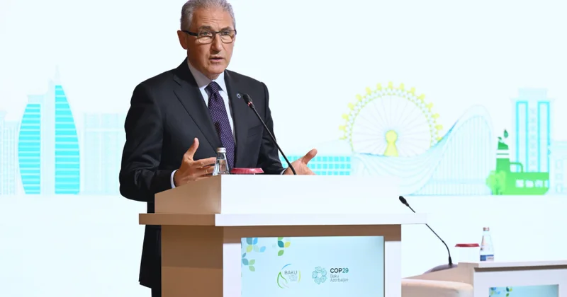 COP29 un Prezidenti: Kənd təsərrüfatı və su iqlim dəyişikliyinə qarşı mübarizədə əsas prioritetlərimizdəndir
