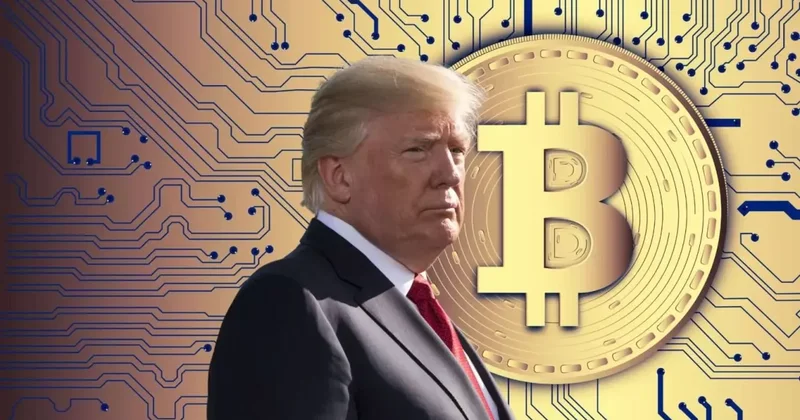 Семья Трампа может запустить криптовалютную дебетовую карту