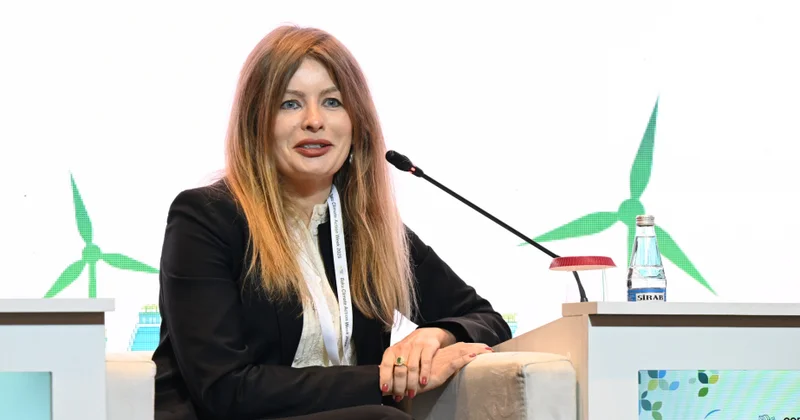 AİB: Azərbaycan hökumətilə kənd təsərrüfatı sahəsində birbaşa əməkdaşlığa açığıq