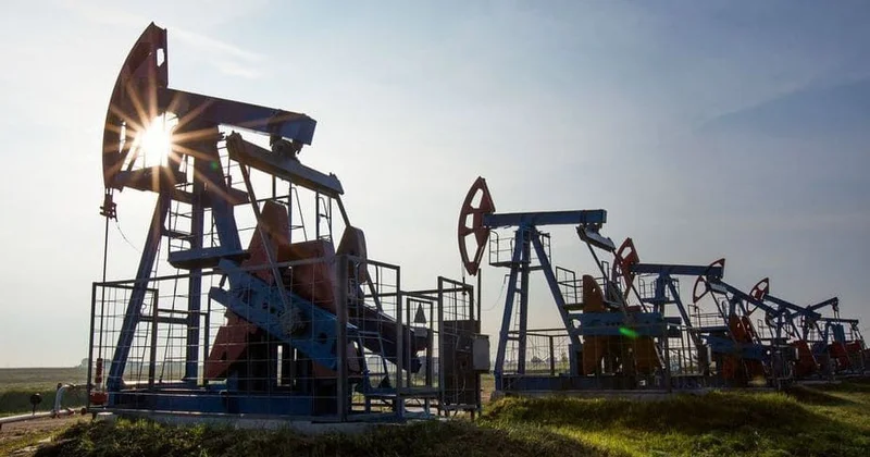 Цены на нефть Brent и WTI показали рост на мировых биржах