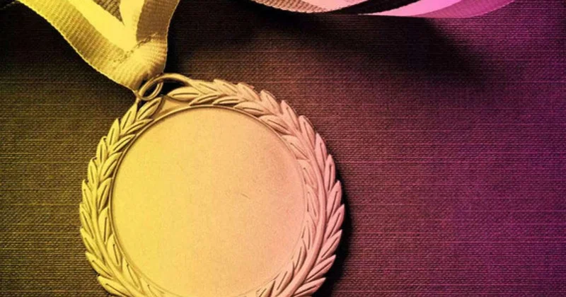 Məşhur QHT sədrləri cinayət məsuliyyətinə cəlb edildi Saxta orden və medal məsələsi