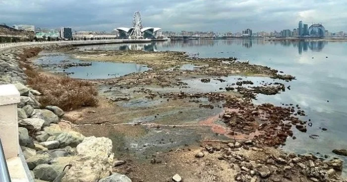 Xəzərlə bağlı TƏHLÜKƏ BÖYÜYÜR Bu sürətlə qurumağa davam etsə...