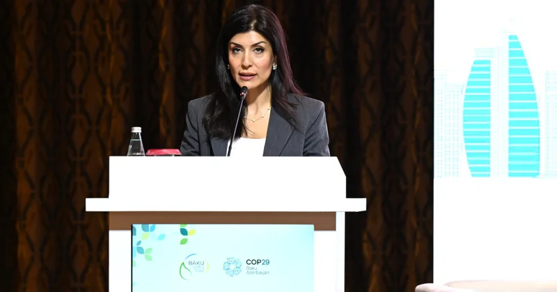 Nigar Arpadarai: Qadınların liderliyi iqlim fəaliyyətində effektiv rol oynayır