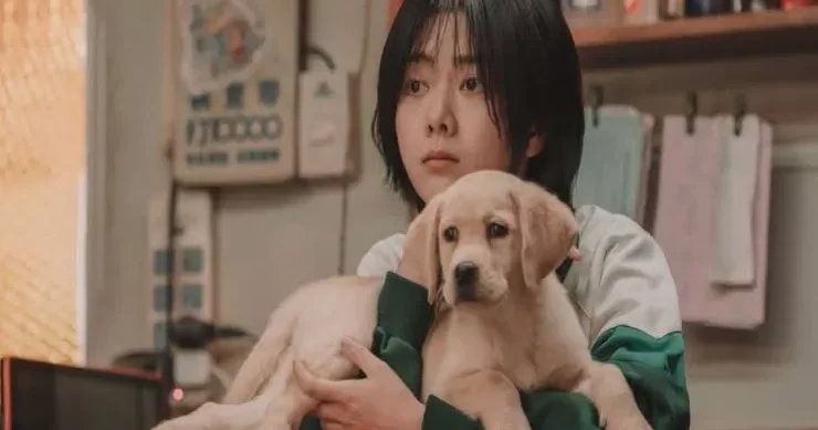 Heyvanlar haqqında maraqlı film: ailəyə ümid gətirən it balası