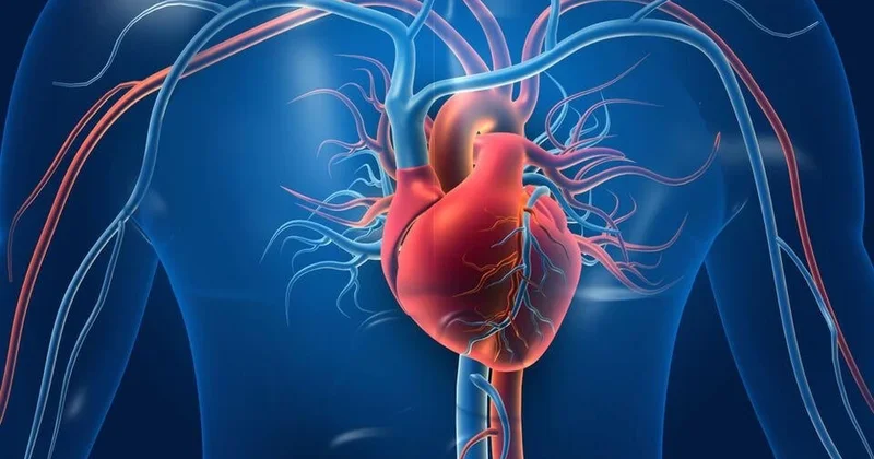 Türkiyədə infarkt Avropaya nisbətən 10 il daha erkən baş verir