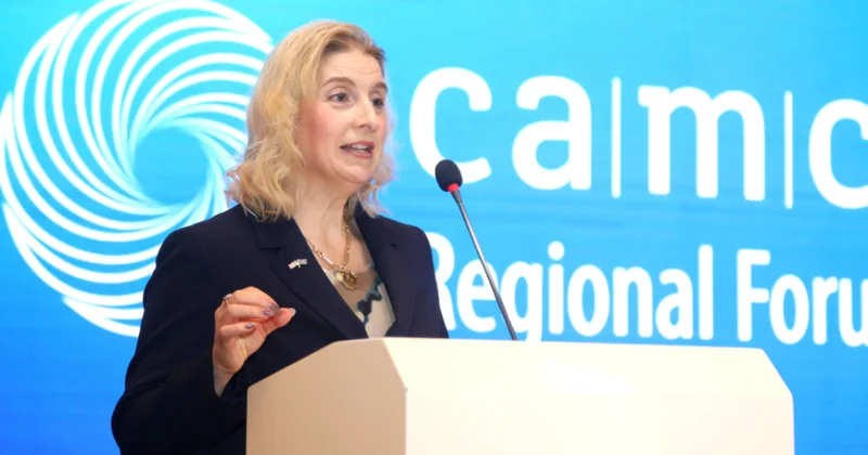 Emi Karlon: Bu il Azərbaycan ABŞ münasibətləri üçün çox uğurlu bir il oldu