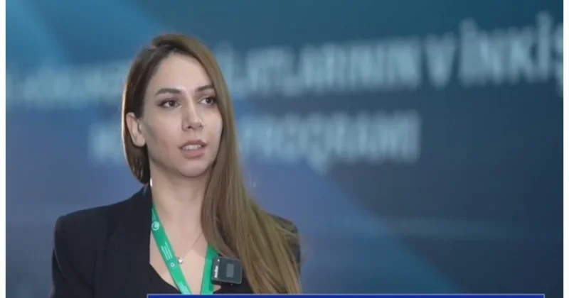 Нигяр Рамазанова: Действия CSI негативно влияют на мирный процесс между Баку и Ереваном