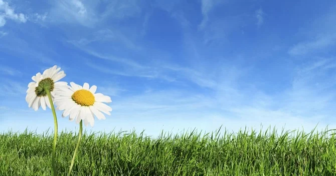 Ötən ay Azərbaycanda havanın temperaturu iqlim norması ilə müqayisədə 24 gün yuxarı olub