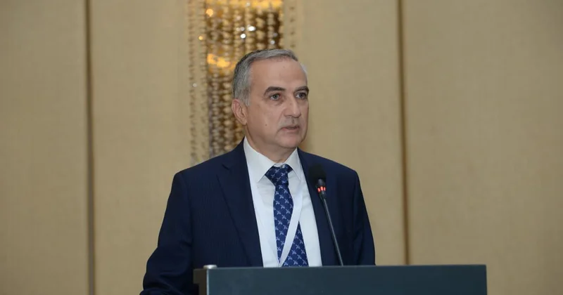 Шафиев назвал четыре направления мирного процесса между Азербайджаном и Арменией Minval Politika