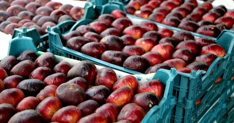 В Иране зафиксирован рост цен на продовольственную продукцию