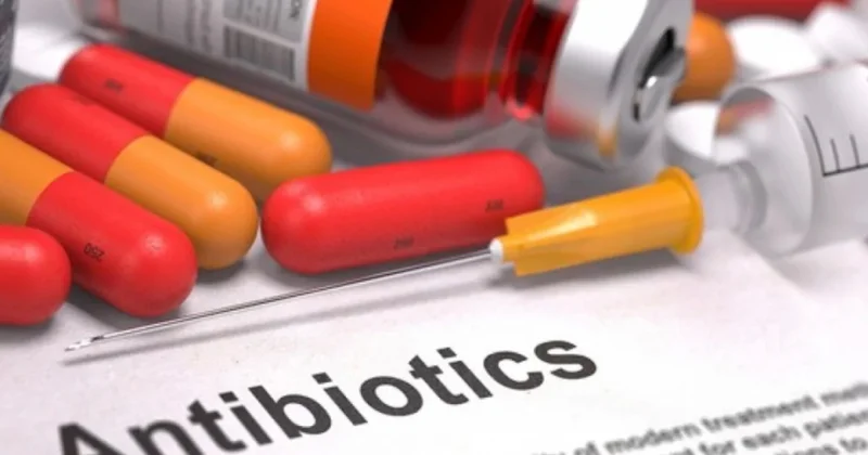 Antibiotik qəbul edərkən şirniyyat yemək olarmı? araşdırma