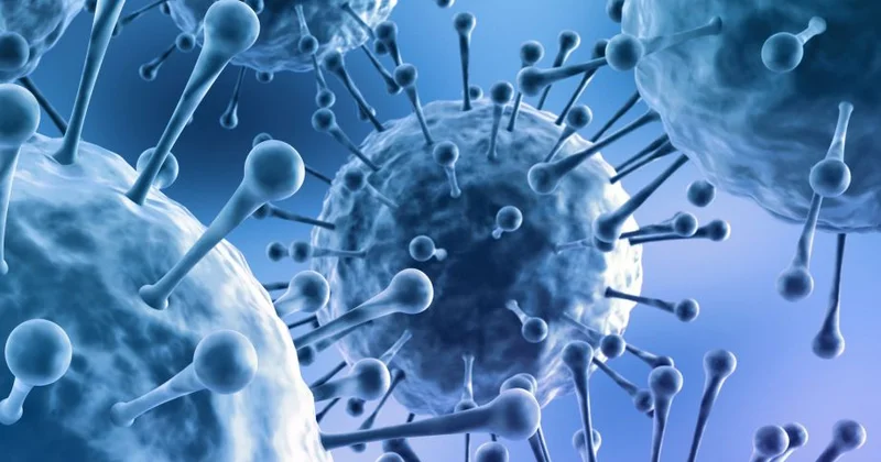 Ağır respirator virus infeksiyalarından sonra ağciyərlərdə fibrozun yaranması mümkündür HƏKİM
