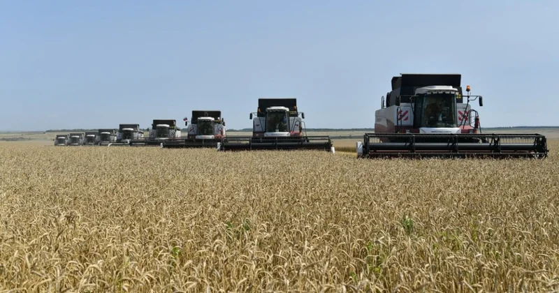 Почти половина саратовской пшеницы уходит в Азербайджан