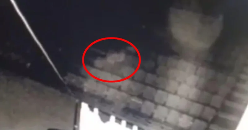 Əyləncə mərkəzində paranormal görüntülər: Peyda olub yox olur FOTO