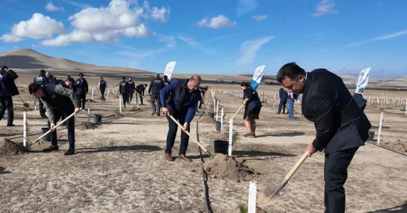 МЧС провело акцию по озеленению фото