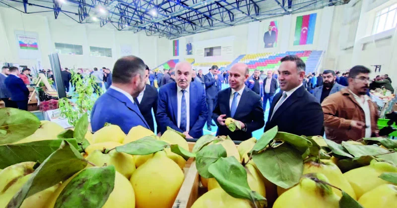 Qusarda bərəkət mövsümü