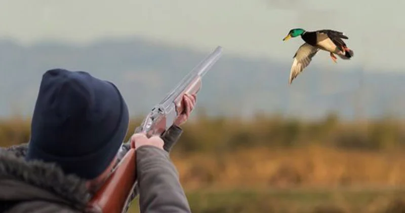 Astarada qanunsuz ov edən şəxslər saxlanılıblar