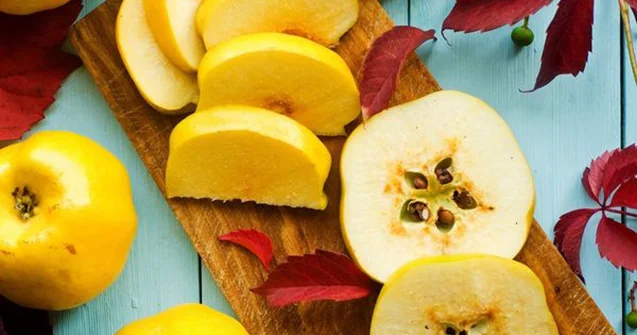 Heyvanın bilmədiyimiz faydaları