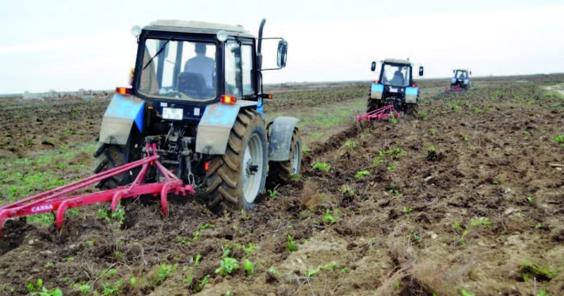 Torpaq zəhmətin əvəzini birə beş qaytarır