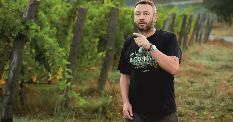 Куница заразила бешенством известного российского винодела ВИДЕО