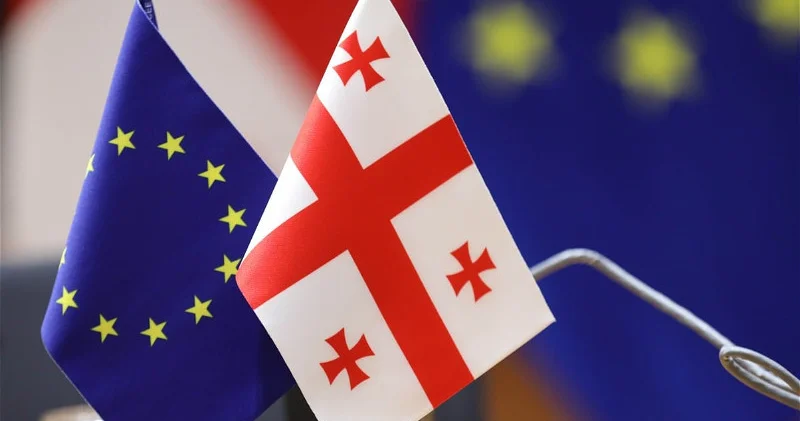 Грузия прекращает участие в сессиях Парламентской ассамблеи Евронест