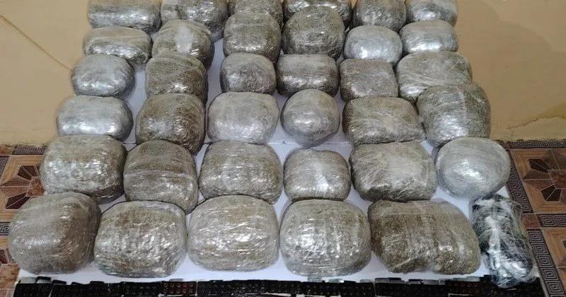 ГПС: За месяц на границе изъято более 489 кг наркотиков Minval Politika