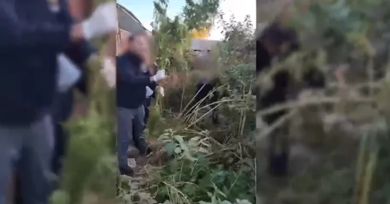 Naxçıvan polisi əməliyyat keçirdi KONKRET