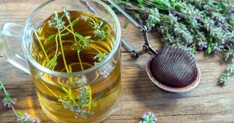 Kəklikotunun möcüzəvi faydaları