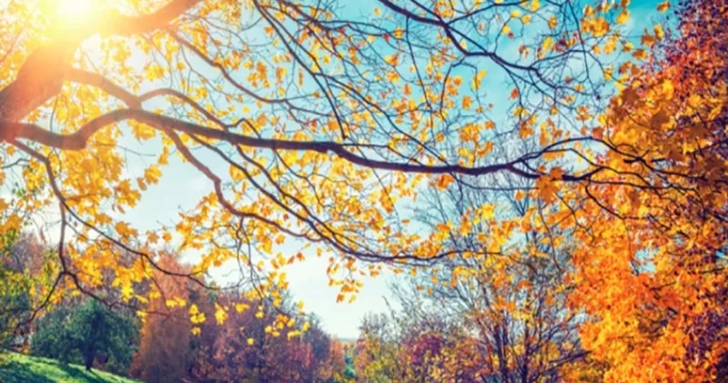 Noyabrın 2 də hava: Bakıda və rayonlarda əsasən yağmursuz