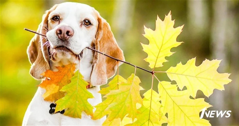 Прогноз синоптиков: чего ждать от погоды завтра